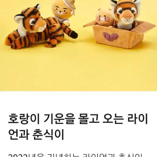 임인년 에디션 인형 춘식이&호랑이 세트