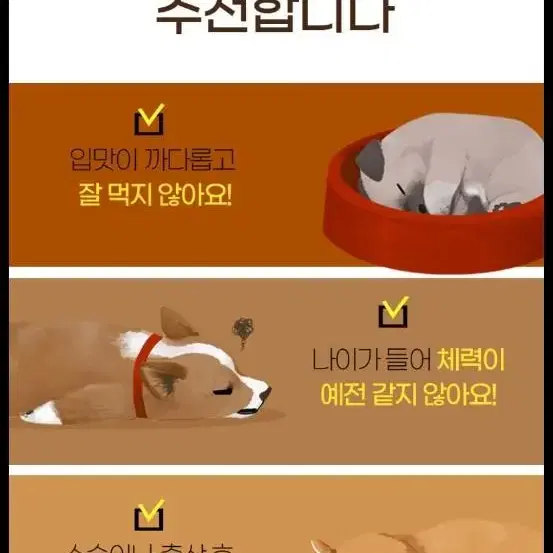 반려견 고려흑삼펫 250g 판매합니다.