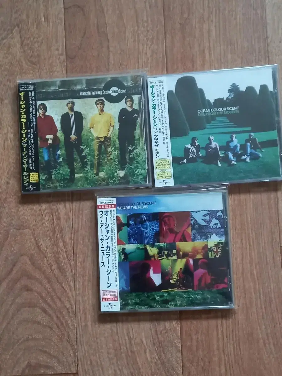 ocean color scene cd 일본반 시디