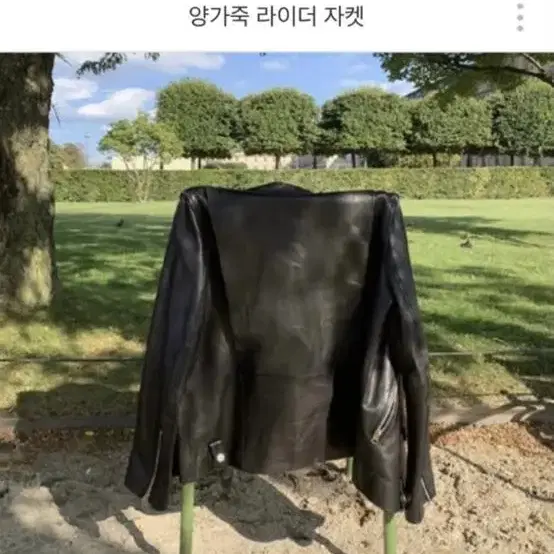 엘린 리얼 양가죽 라이더자켓