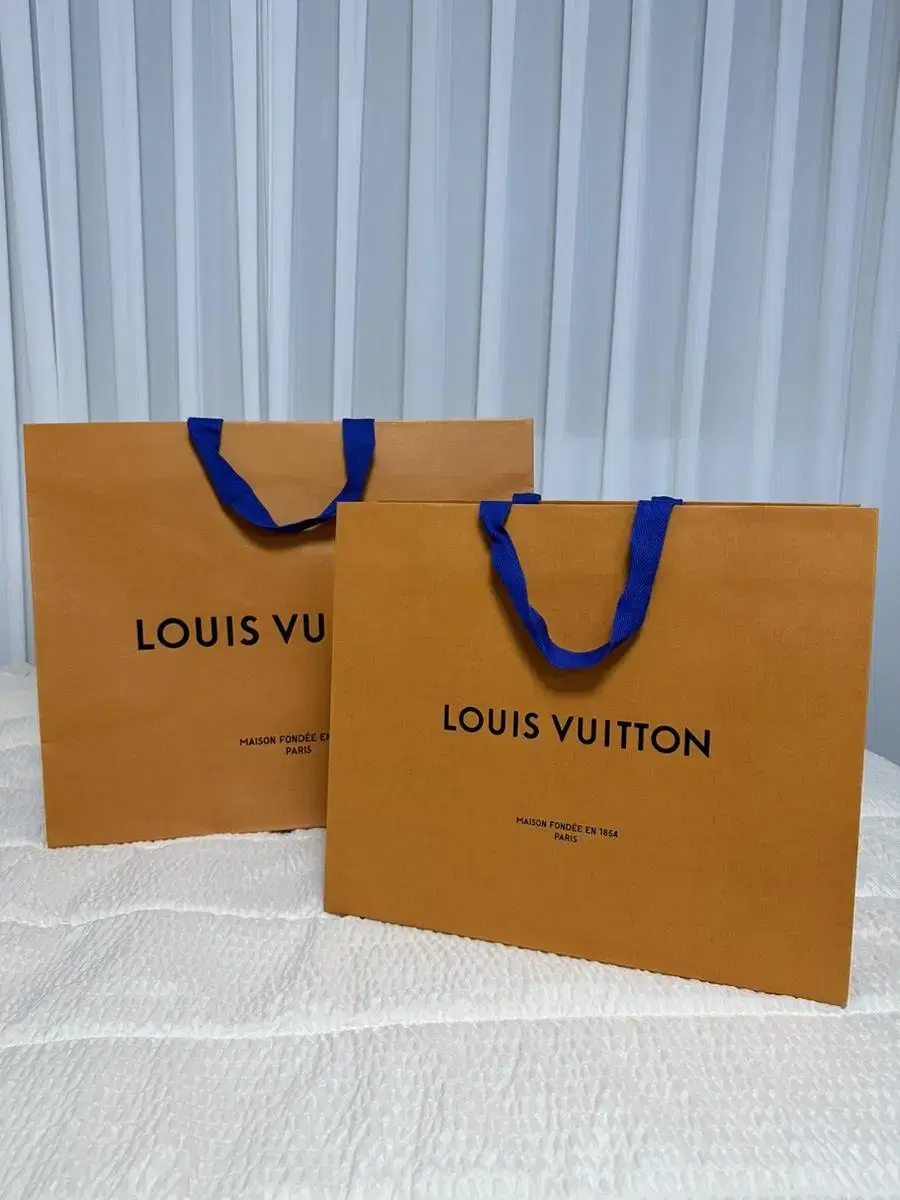 Louis Vuitton Luxury Shopping Bags