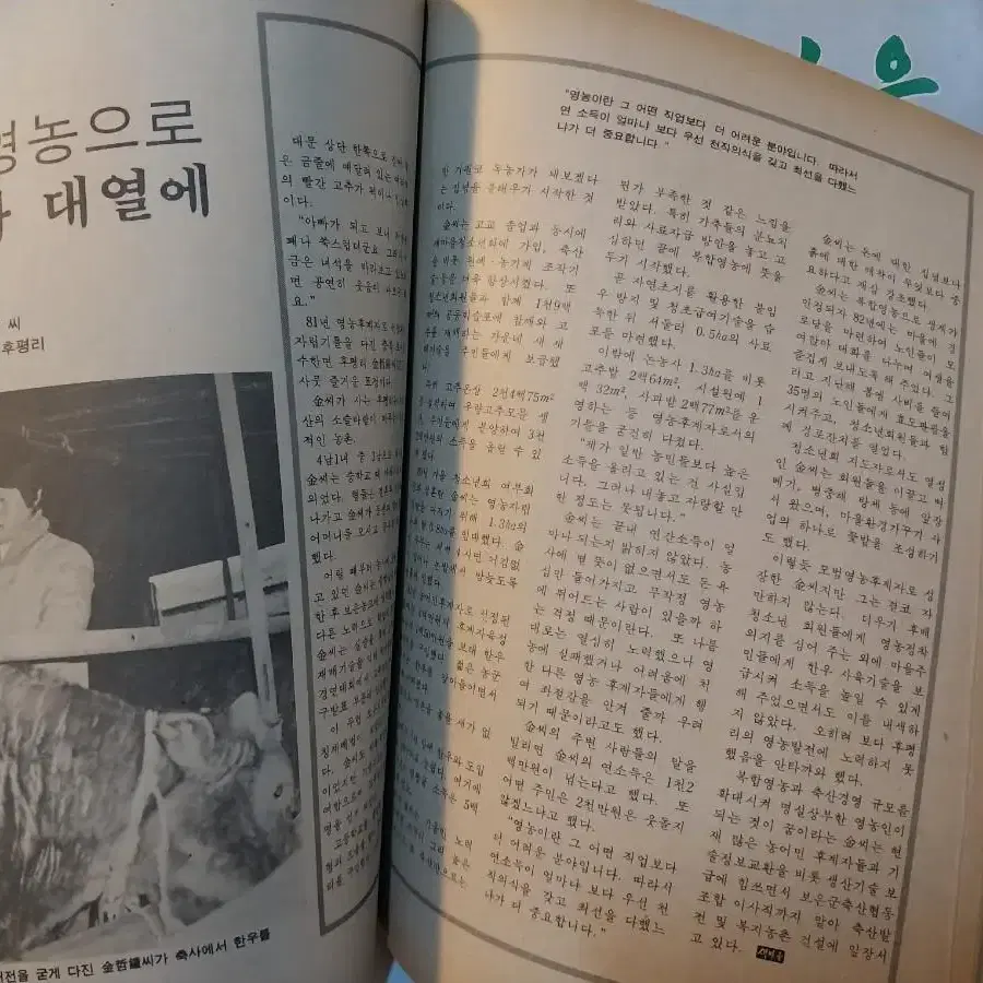 (소품/수집)새마을 운동 책 팝니다(21권)