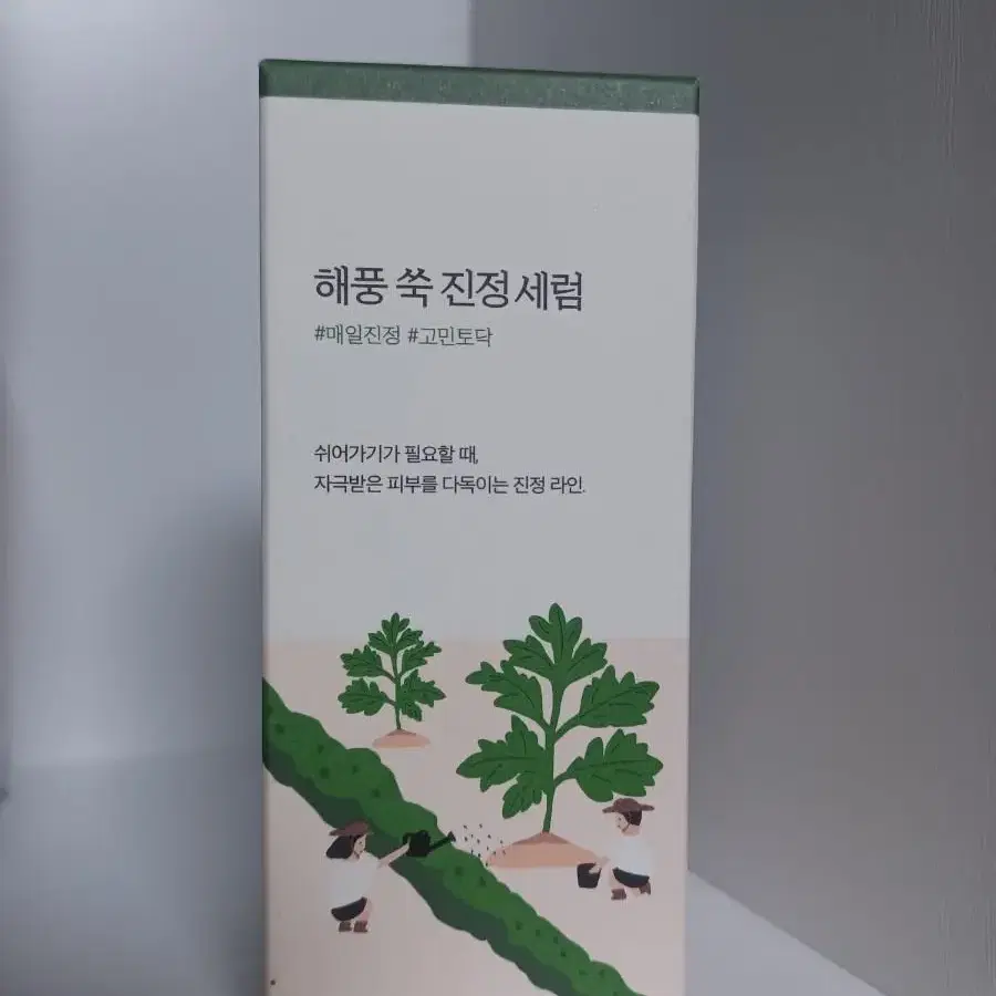 [라운드랩/새상품] 해풍쑥 진정세럼 50ml