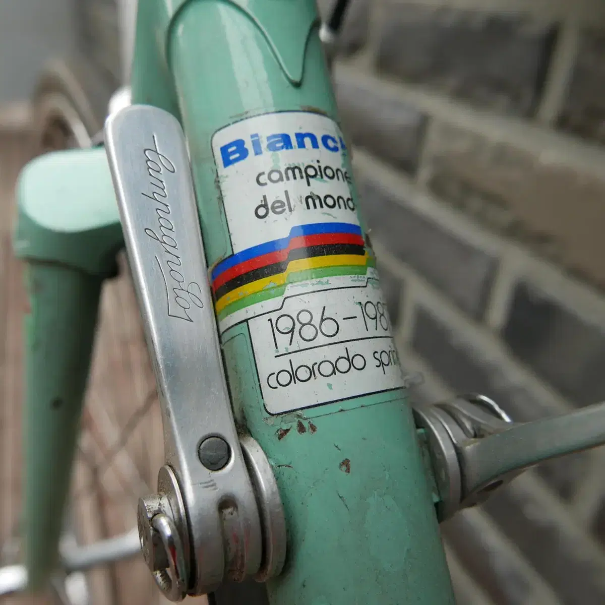 Bianchi Campion 1986~1987 MADE IN ITALY