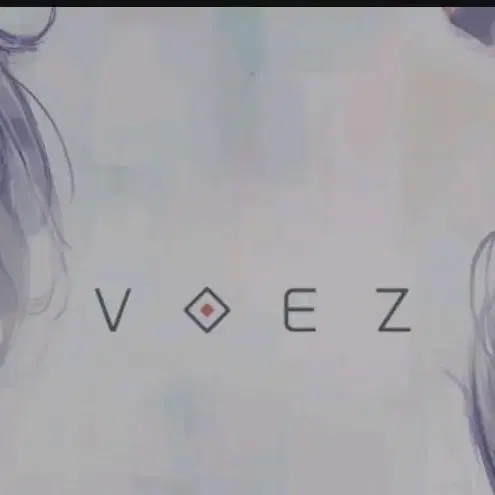 닌텐도스위치 voez 택포 3.0팝니다 케이스x