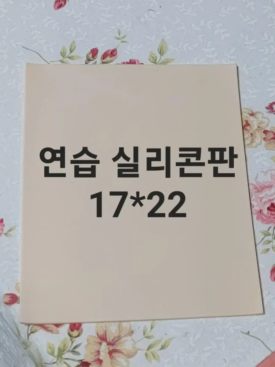 연습실리콘판 17X22cm 반영구연습판 실제 피부 양면 엠보눈썹연습판