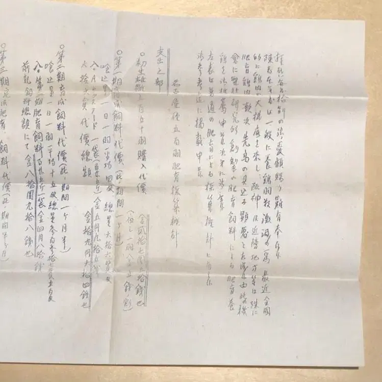 일본 1920년대 추정 양계장 순익지출수기자료