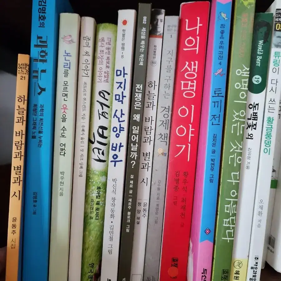 대치동 논술학원 선정책들