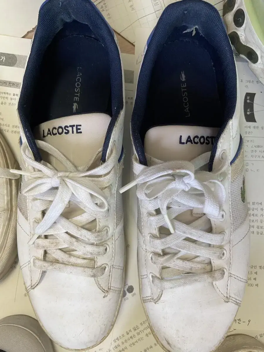 Lacoste sneakers