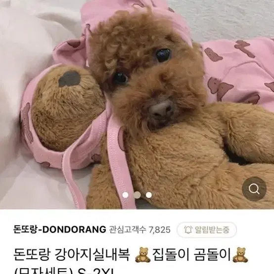 강아지 실내복 집돌이 곰돌이 모자 세트