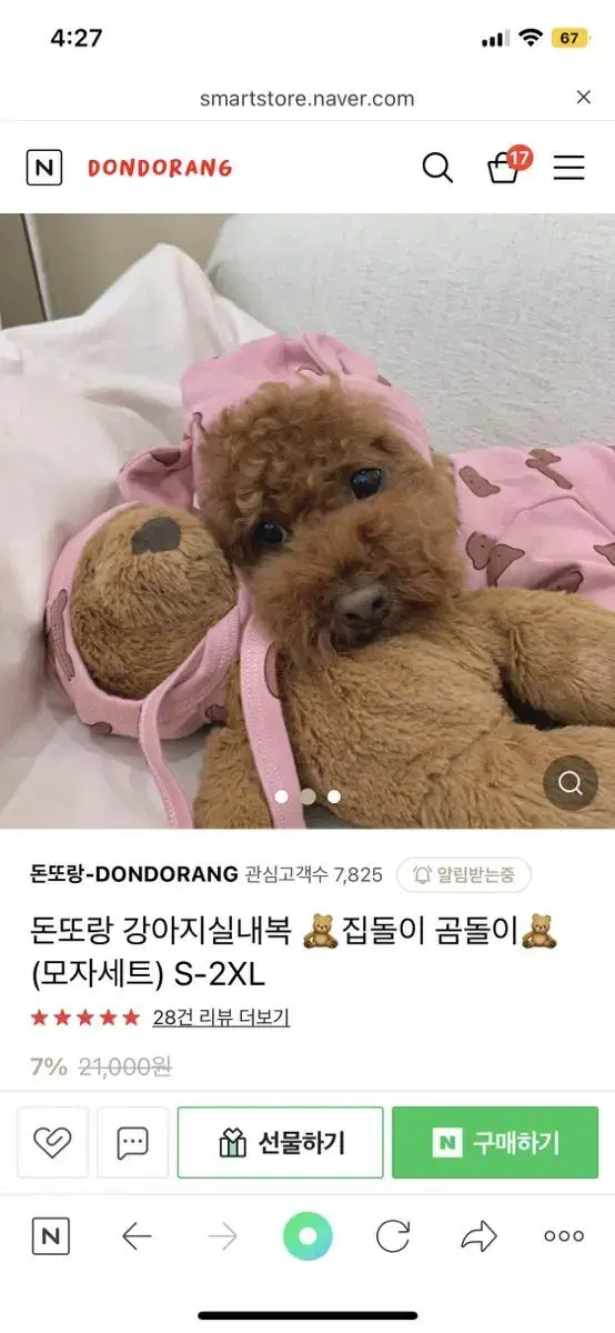 강아지 실내복 집돌이 곰돌이 모자 세트