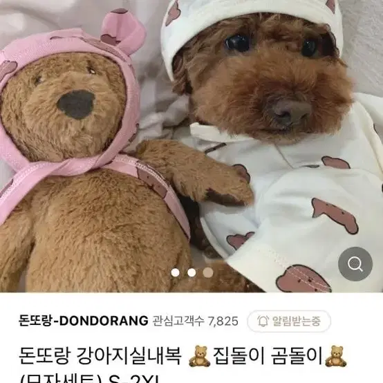 강아지 실내복 집돌이 곰돌이 모자 세트