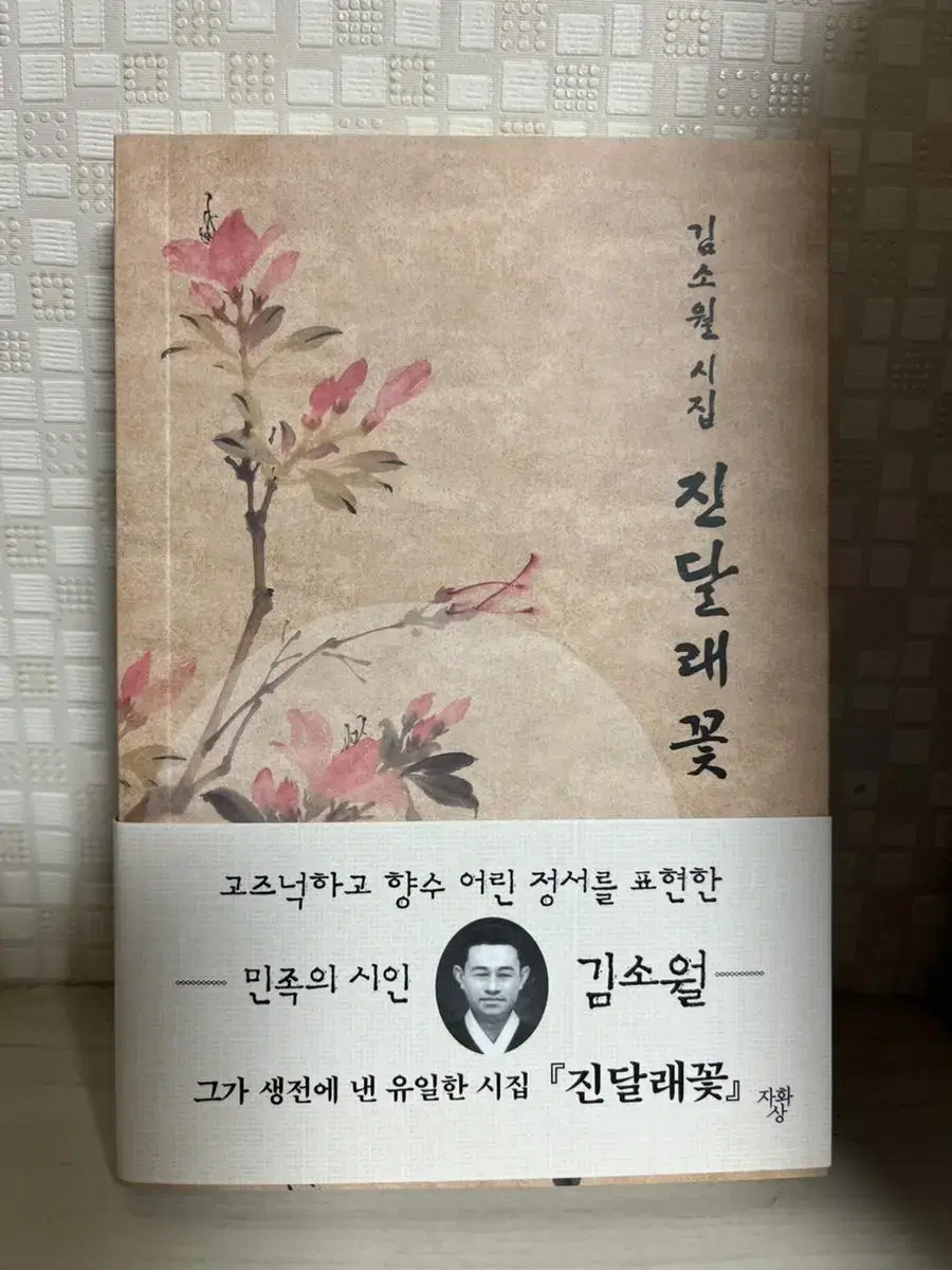 진달래꽃 (미니북) 김소월 시집 | 브랜드 중고거래 플랫폼, 번개장터 진달래꽃 (미니북) 김소월 시집 | 브랜드 중고거래 플랫폼, 번개장터