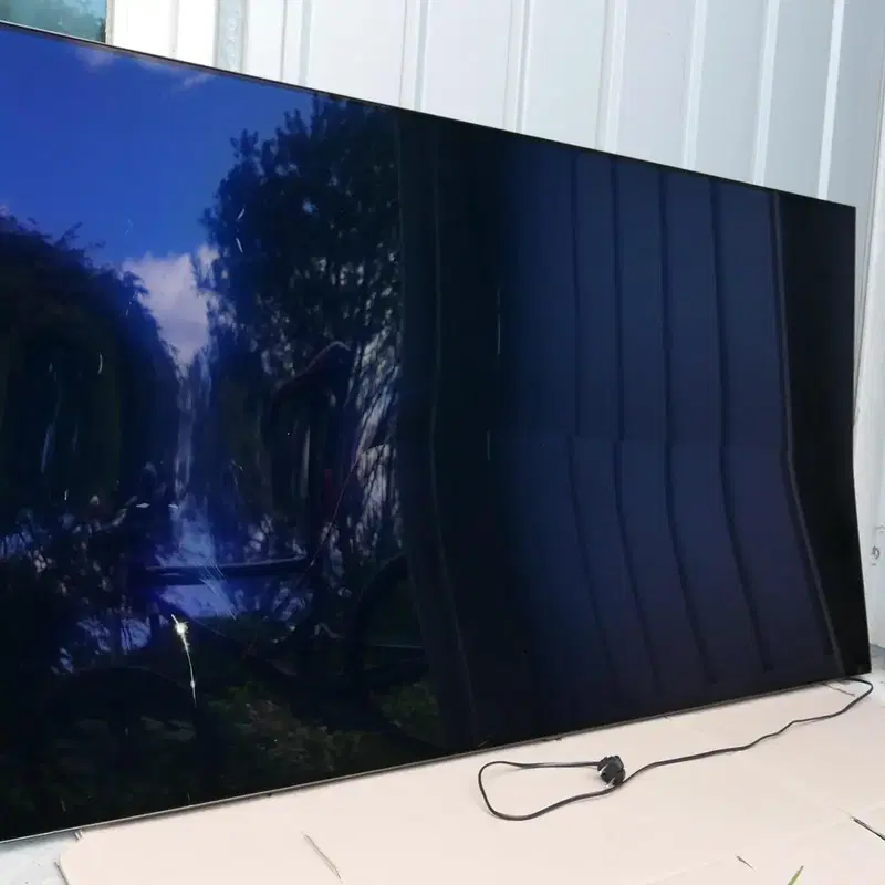 LG 65인치, LG 올레드, LG OLED65BXFNA 액정파손