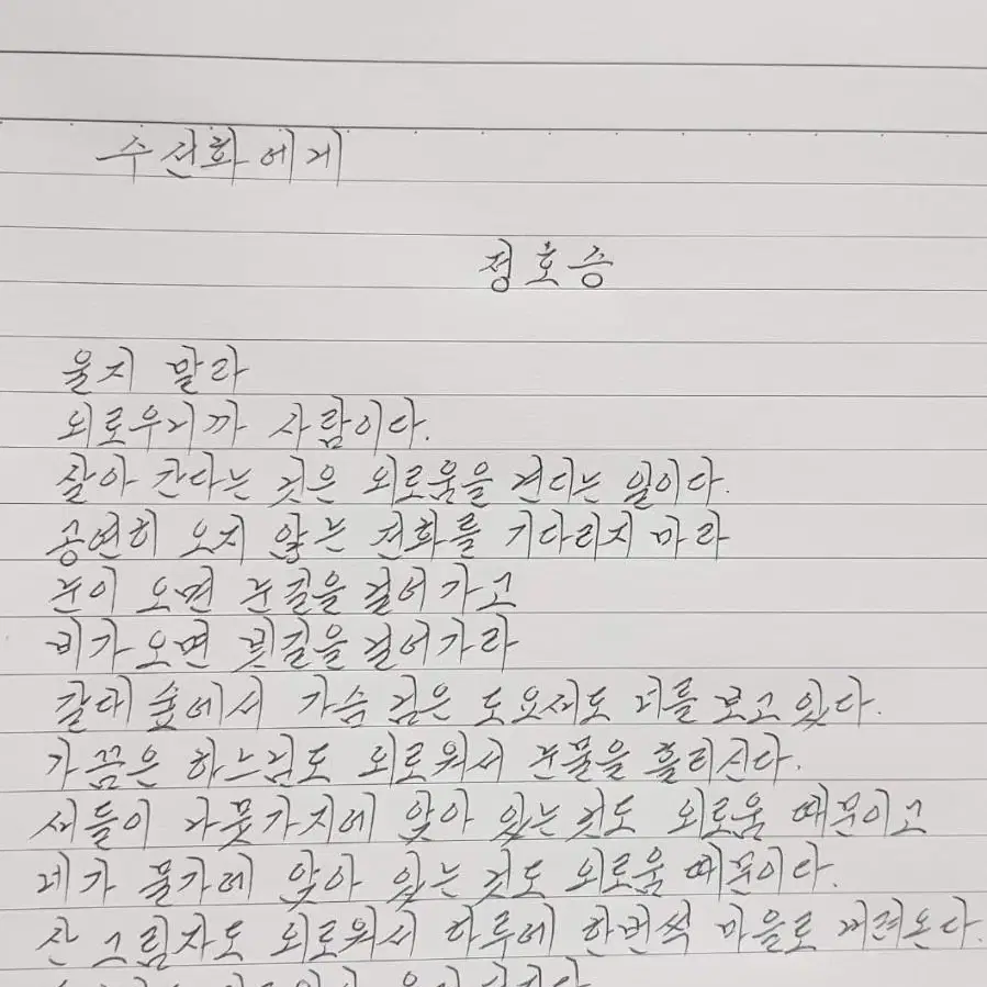 손글씨, 손편지, 과제 필기 대필  해드립니다.