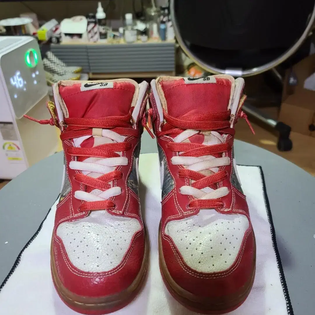 나이키 덩크하이 SB 슈구 dunk high SB shoegoo