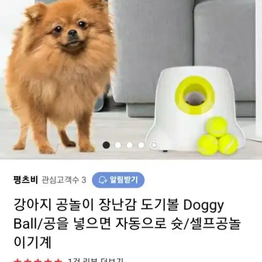 도기볼