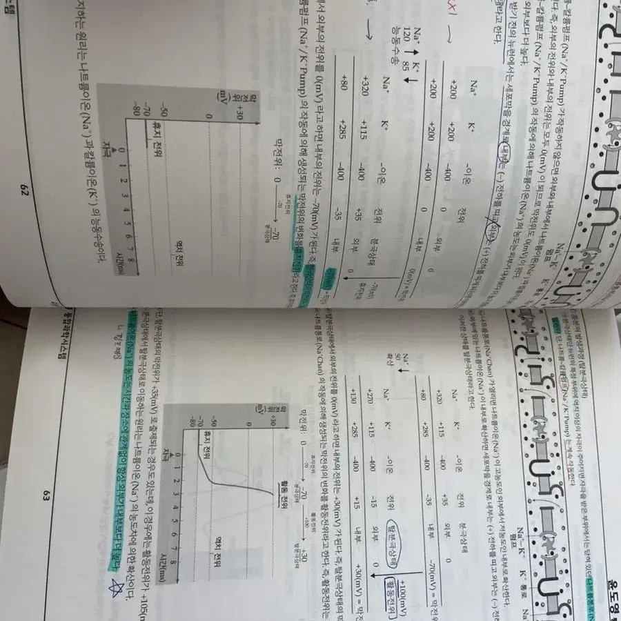 윤도영 올어바웃