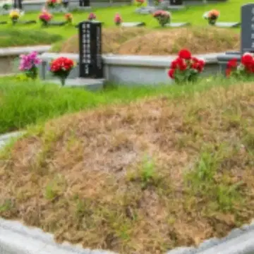 경주공원묘지 천주교묘원 | 브랜드 중고거래 플랫폼, 번개장터 경주공원묘지 천주교묘원 | 브랜드 중고거래 플랫폼, 번개장터