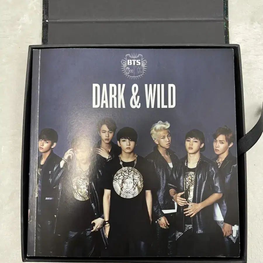 방탄소년단 앨범(DARK&WILD,봄날)(포카 포함)