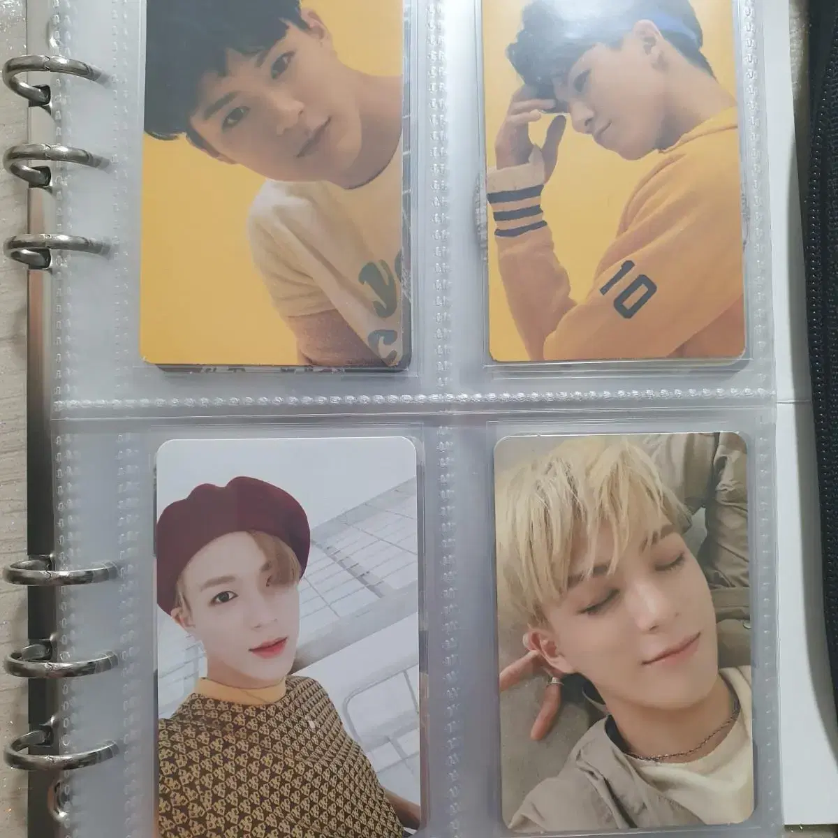 제노포카 양도 엔시티드림 nct