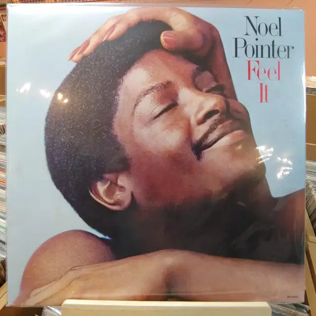 NOEL POUNTET LP ~할인 가격