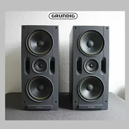 독일 그룬딕  GRUNDIG 북쉘브 패시브 스피커 MBX 310 120W