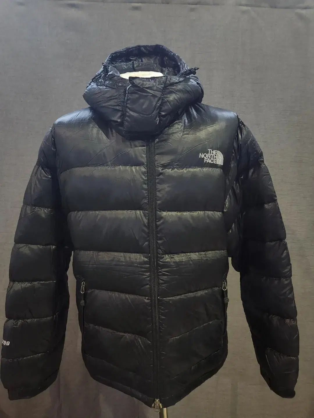 The North Face 100 (L)