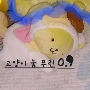 고양이 엎드린 폼폼푸린