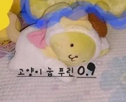 고양이 엎드린 폼폼푸린