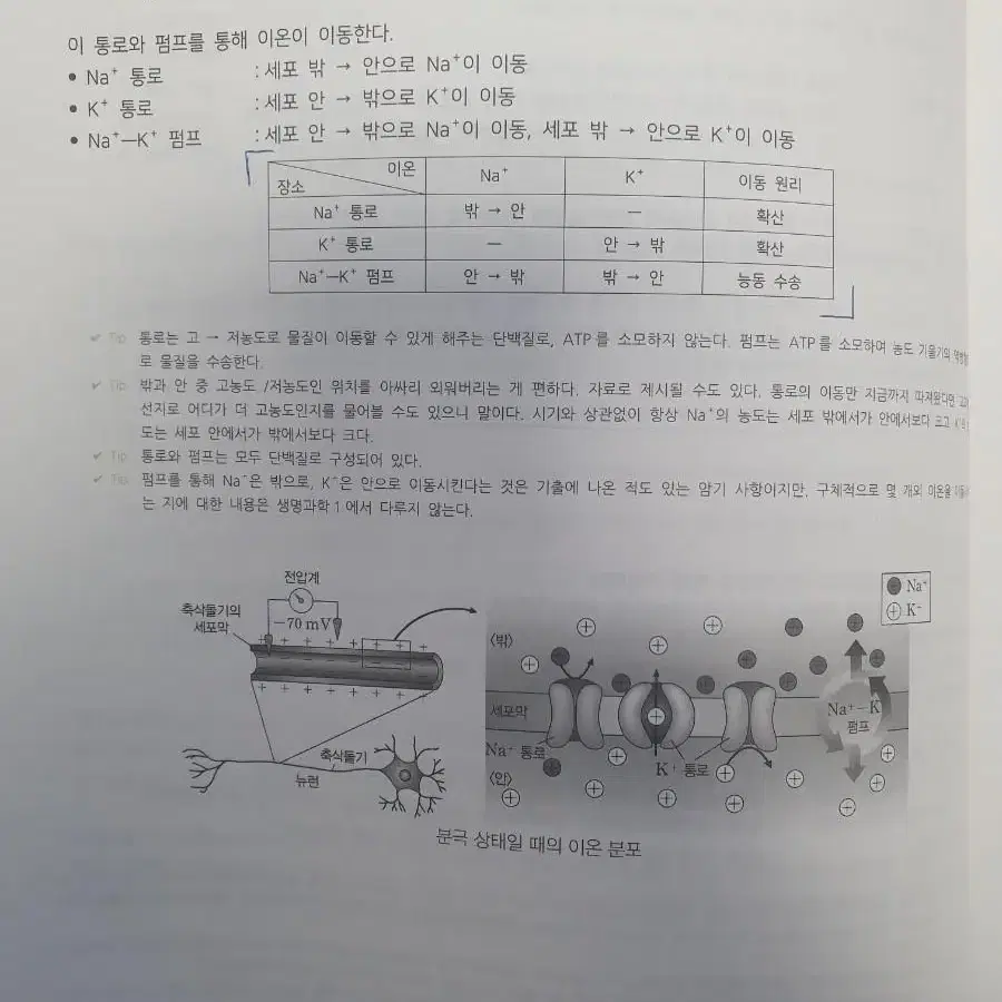 2023 시대인재 생명과학 최수준 현강 자료 플로우 엑셀러레이터