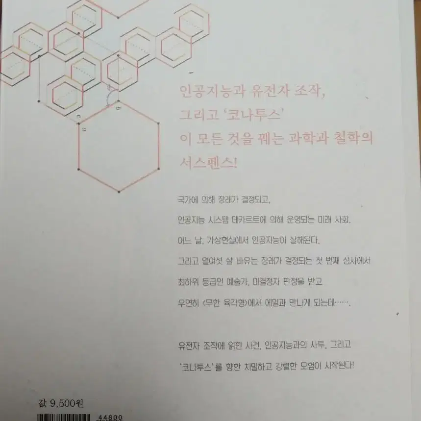 무한 육각형의 표범