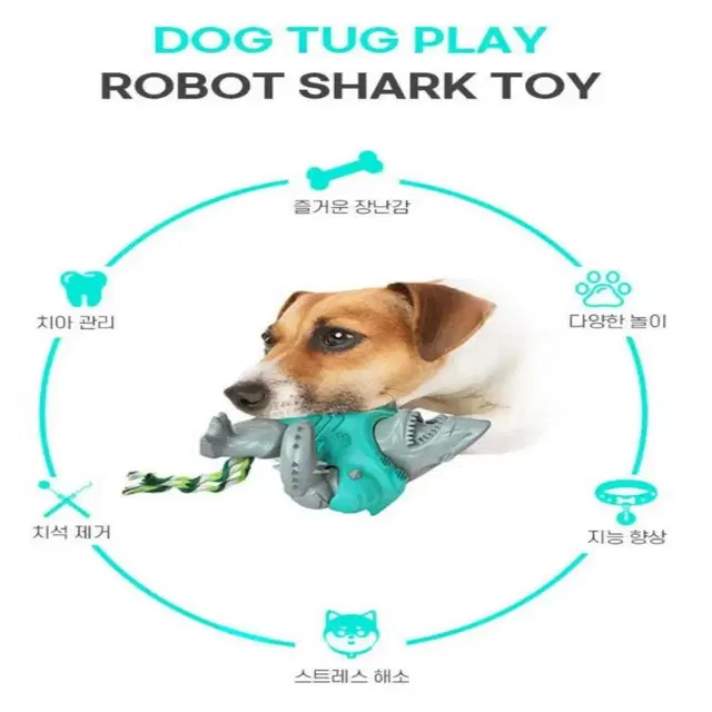 반려견 이갈이 셀프치석 제거 터그놀이 크앙 상어 장난감