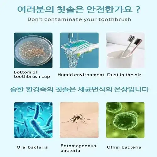 (무료배송) 무선 uv-c 칫솔 살균기 건조기 칫솔거치대