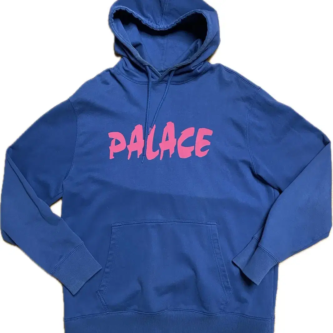 Palace Palazer Hood 17FW (L)