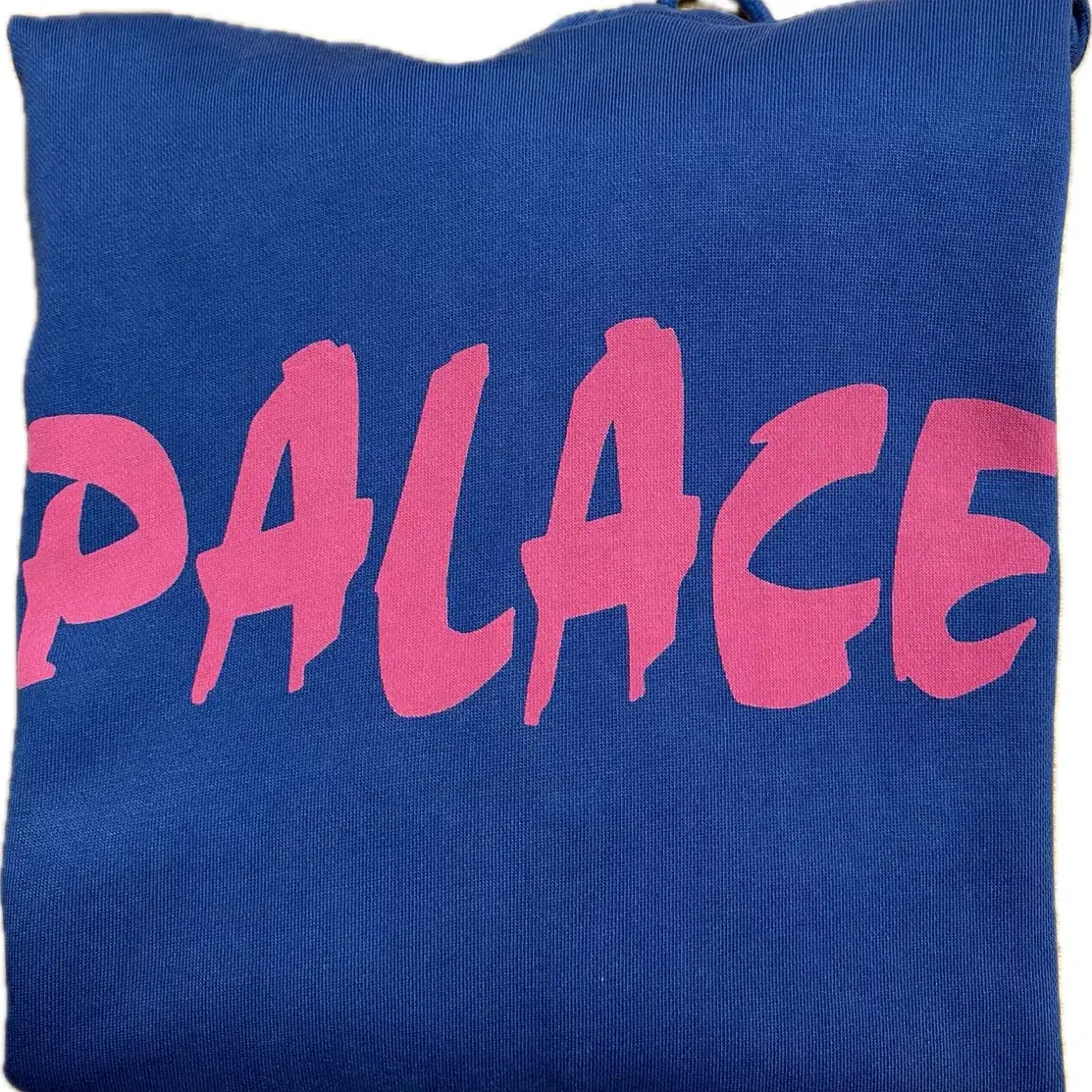 Palace Palazer Hood 17FW (L)