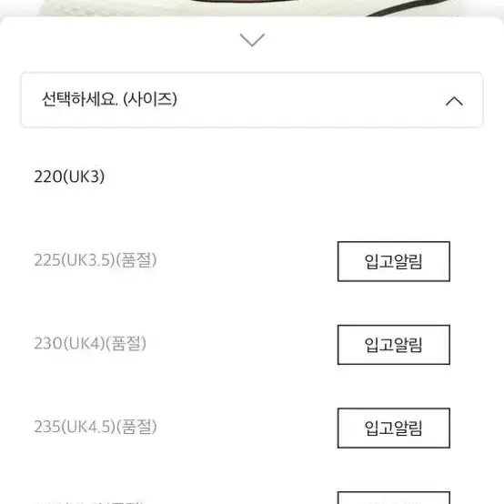 컨버스 척테일러 선플라워 225