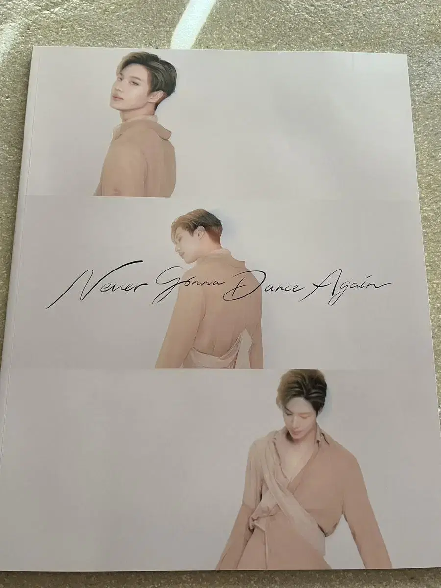 Taemin NGDA Björnla Brochure