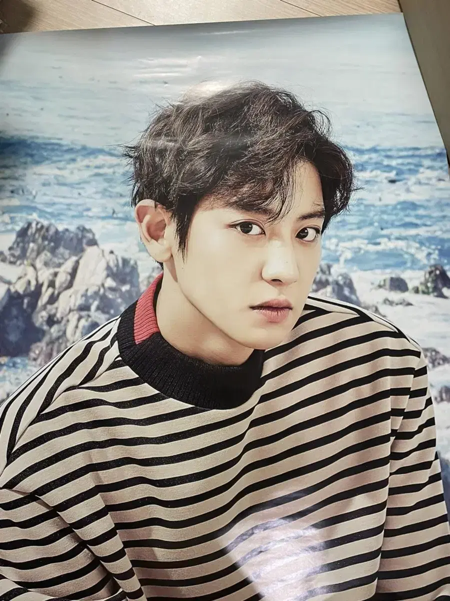 Chanyeol Poster