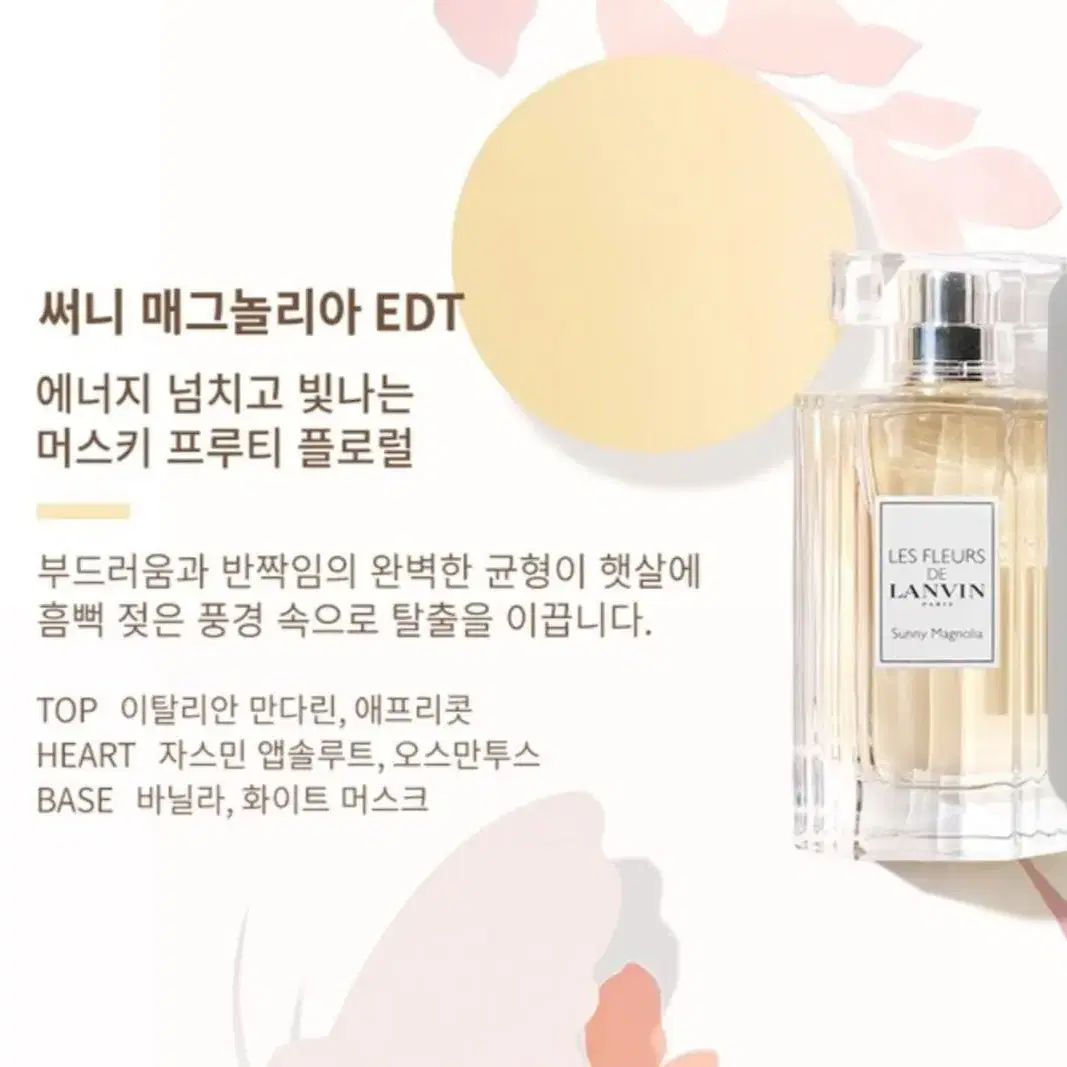 랑방 향수 50ml 써니매그놀리아