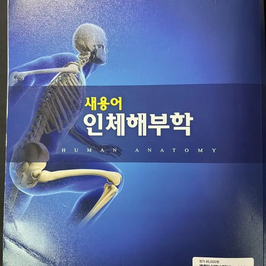 새용어 인체해부학