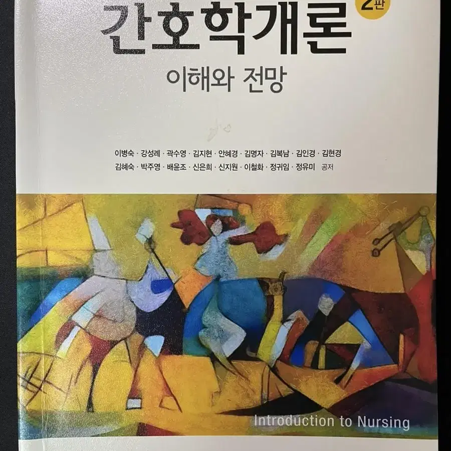 간호학개론 이해와 전망 2판