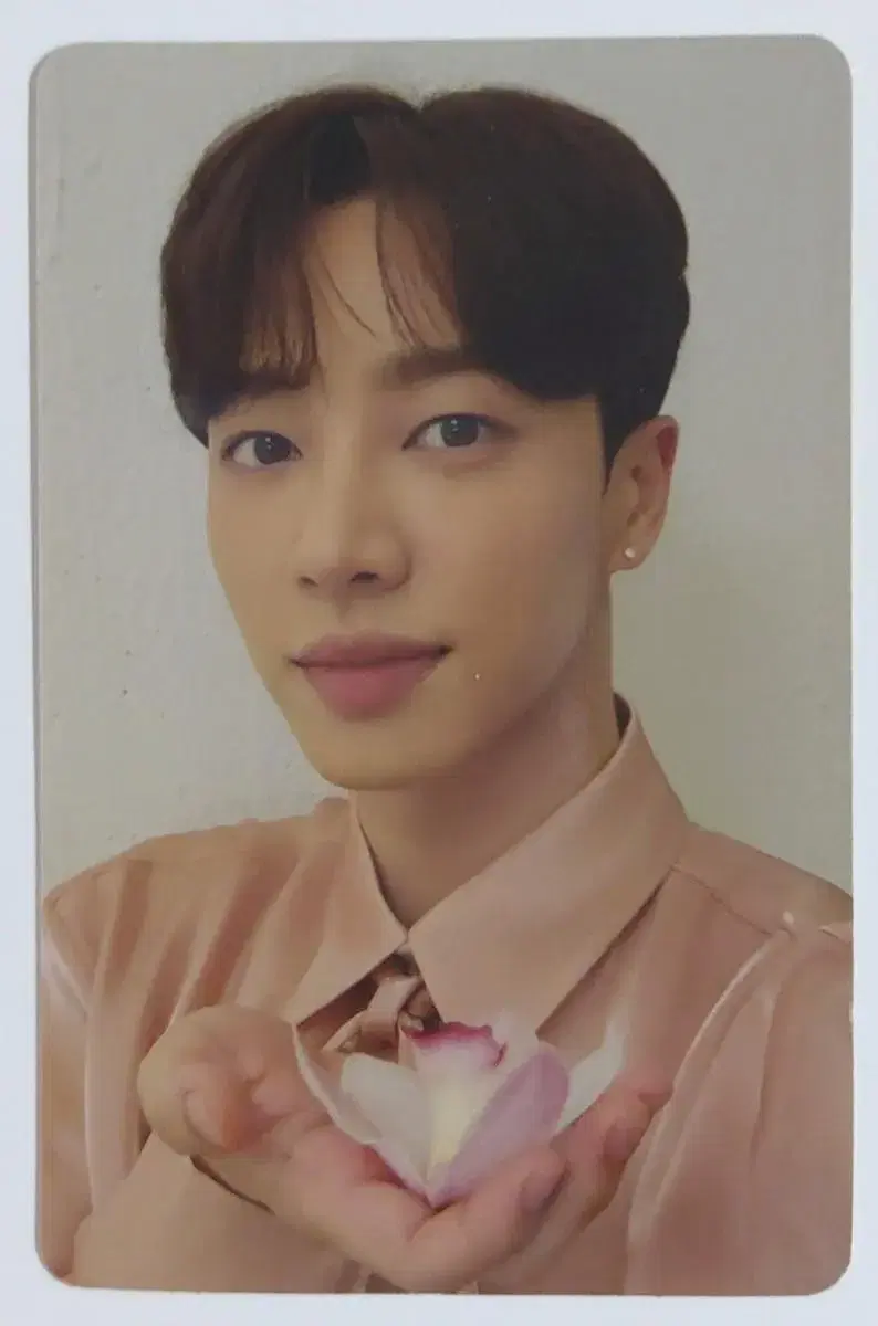 Highlights lee gikwang gikwang Dey Dream photocard pola postcard Before In After The Dream