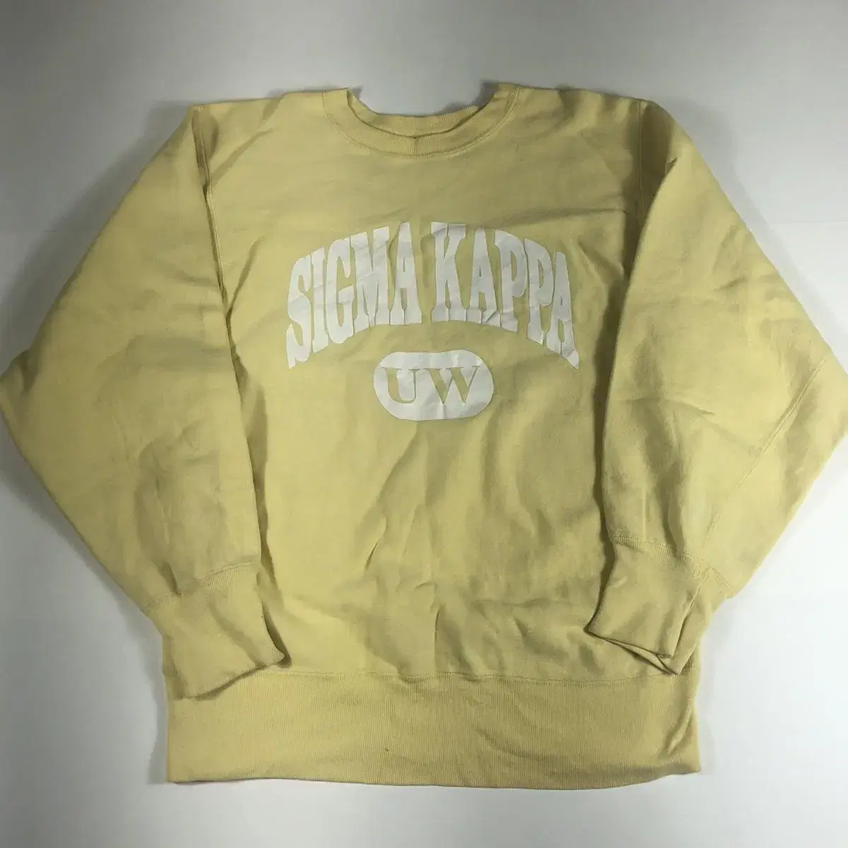 90s Vintage Champion Reverse Weave Sweatshirt Man to Man