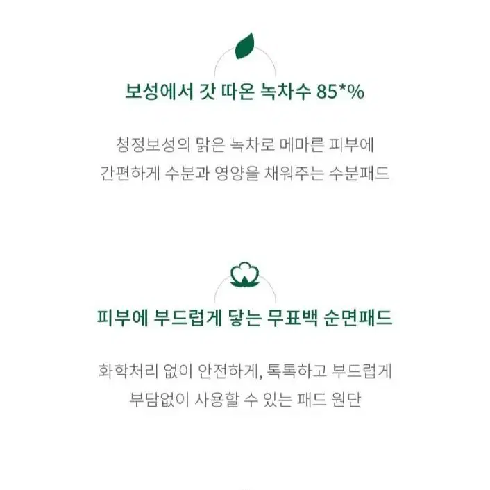 차연 그린티 데일리 토너 패드