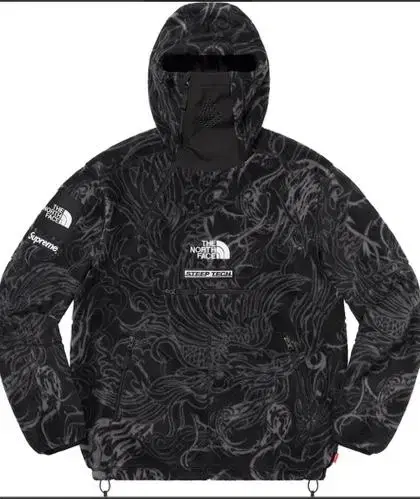 Supreme The North Face Fleece (Same Day Shipping)