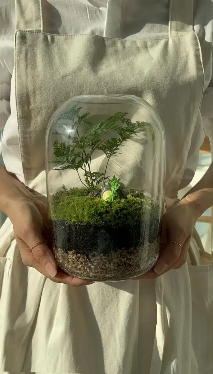 Terrarium Totoro Figures