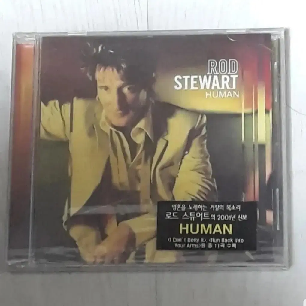 로드스튜어트 Rod Stewart: Human 미개봉 씨디 cd