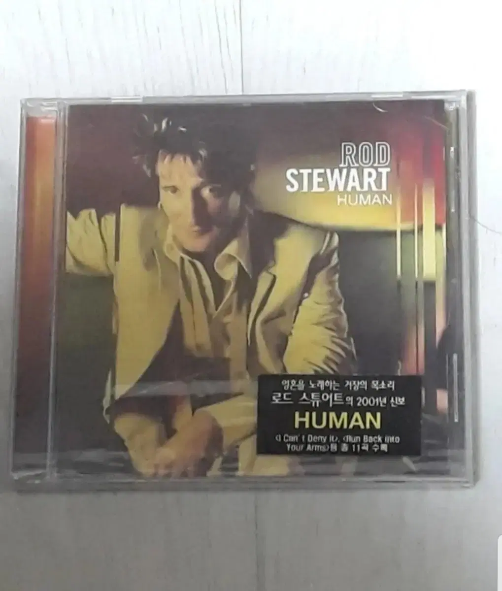 로드스튜어트 Rod Stewart: Human 미개봉 씨디 cd