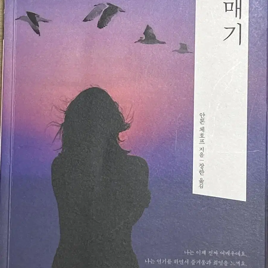 연극영화과 책 - 갈매기, 유리동물원 , 뜨거운양철지붕위고양이, 십이야